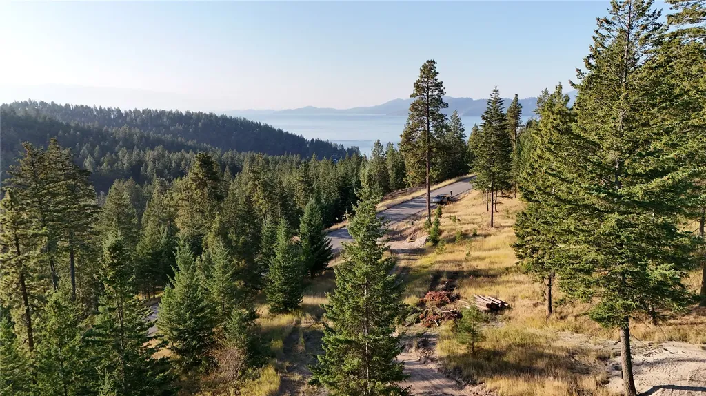 20491 Wild Horse Ranch Road Rollins MT 59931