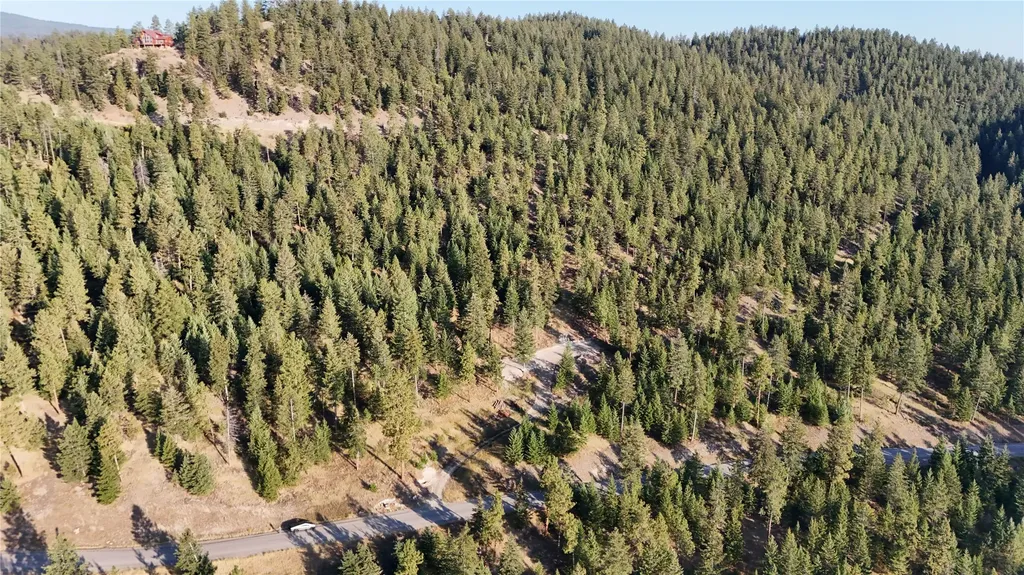 20491 Wild Horse Ranch Road Rollins MT 59931