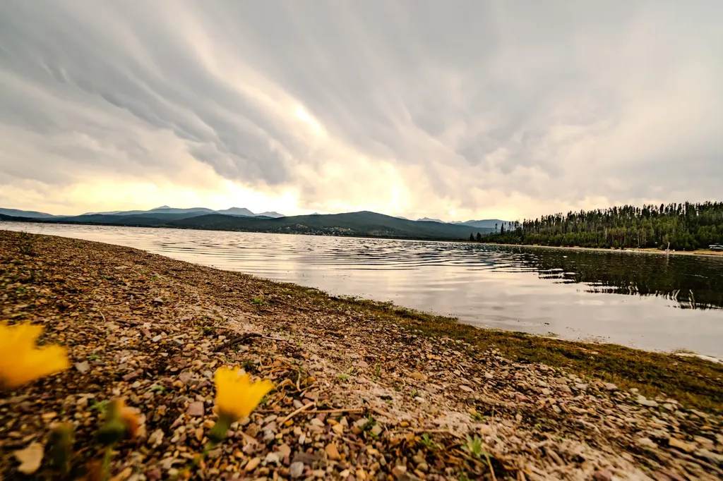 10 Green Meadow Lane Anaconda MT 59711