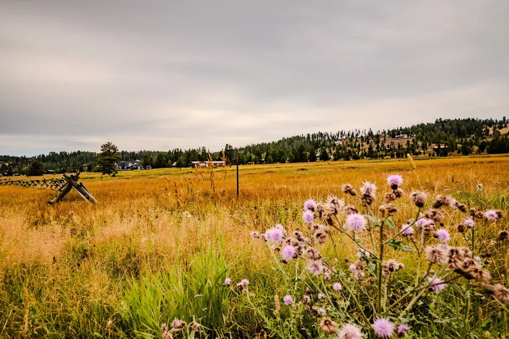 10 Green Meadow Lane Anaconda MT 59711