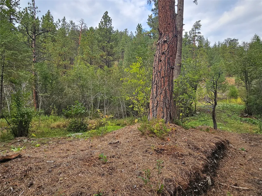 285 Upper Sawmill Creek Road Cascade MT 59421