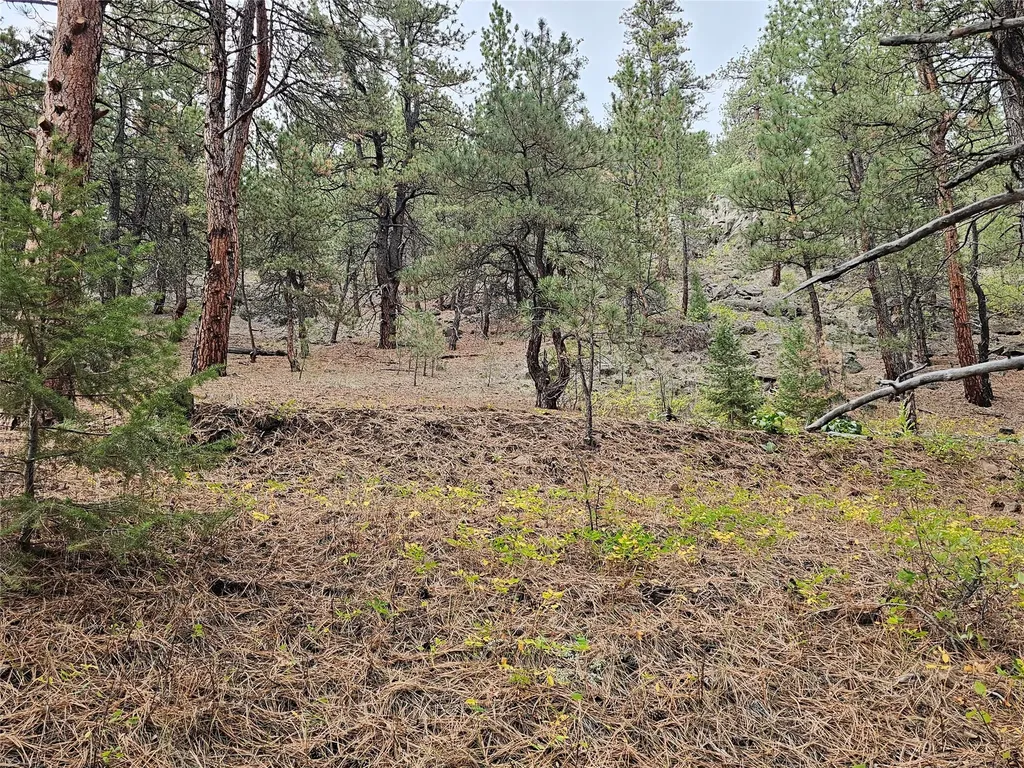 285 Upper Sawmill Creek Road Cascade MT 59421