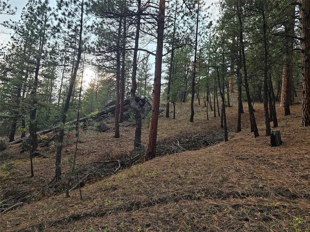 285 Upper Sawmill Creek Road Cascade MT 59421