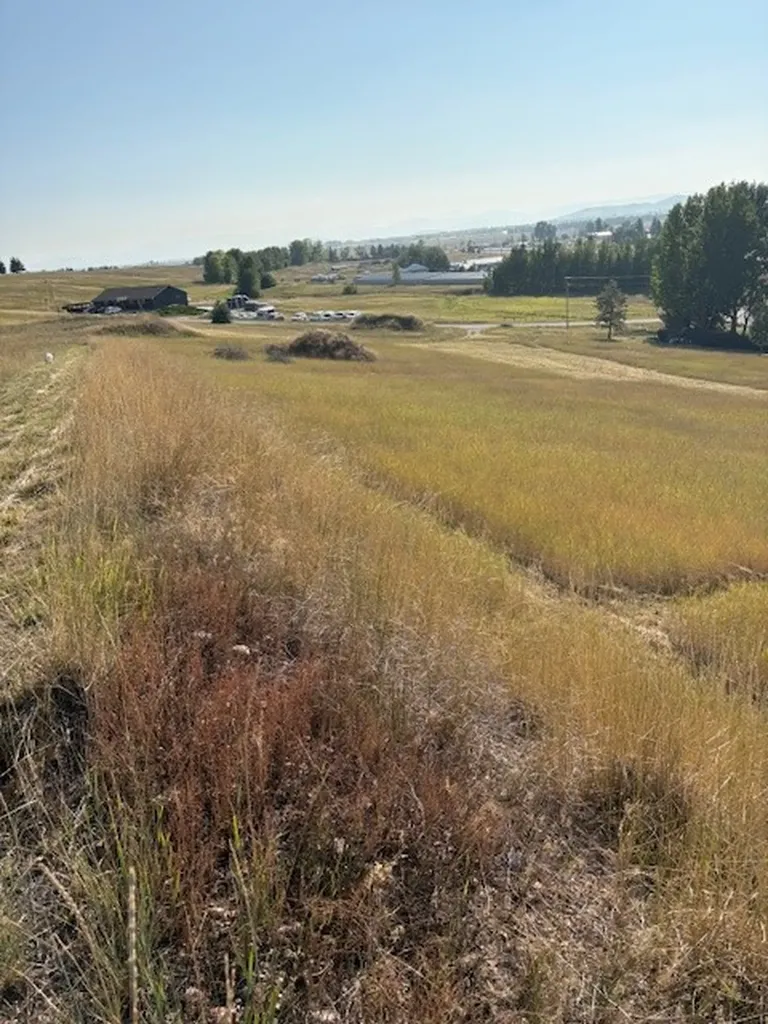 35716 S Hills Drive Polson MT 59860