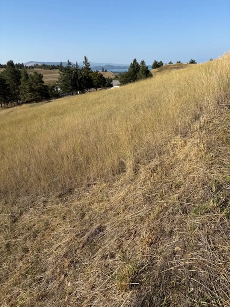 35716 S Hills Drive Polson MT 59860