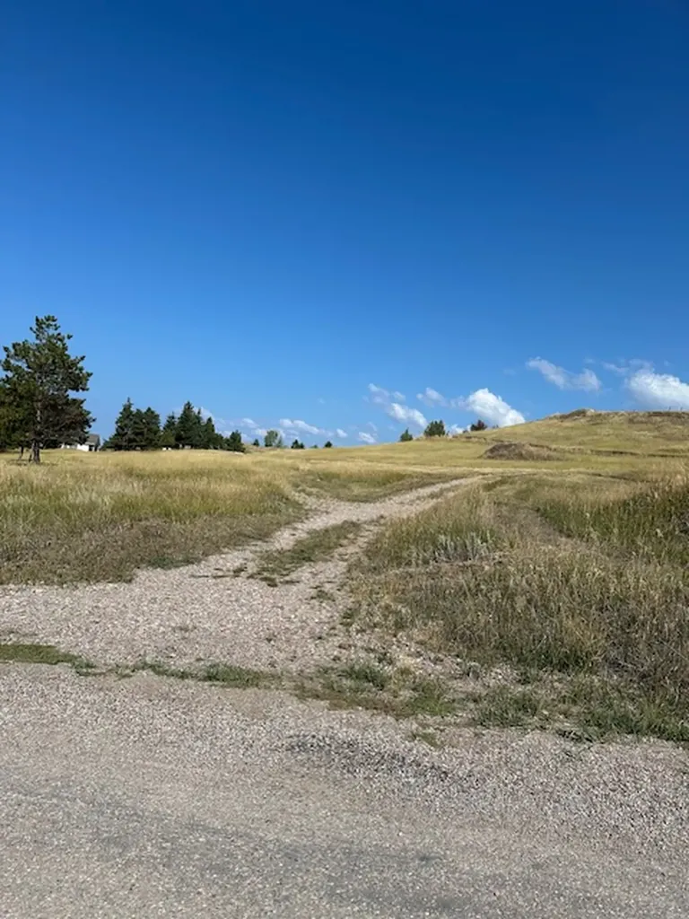 35716 S Hills Drive Polson MT 59860