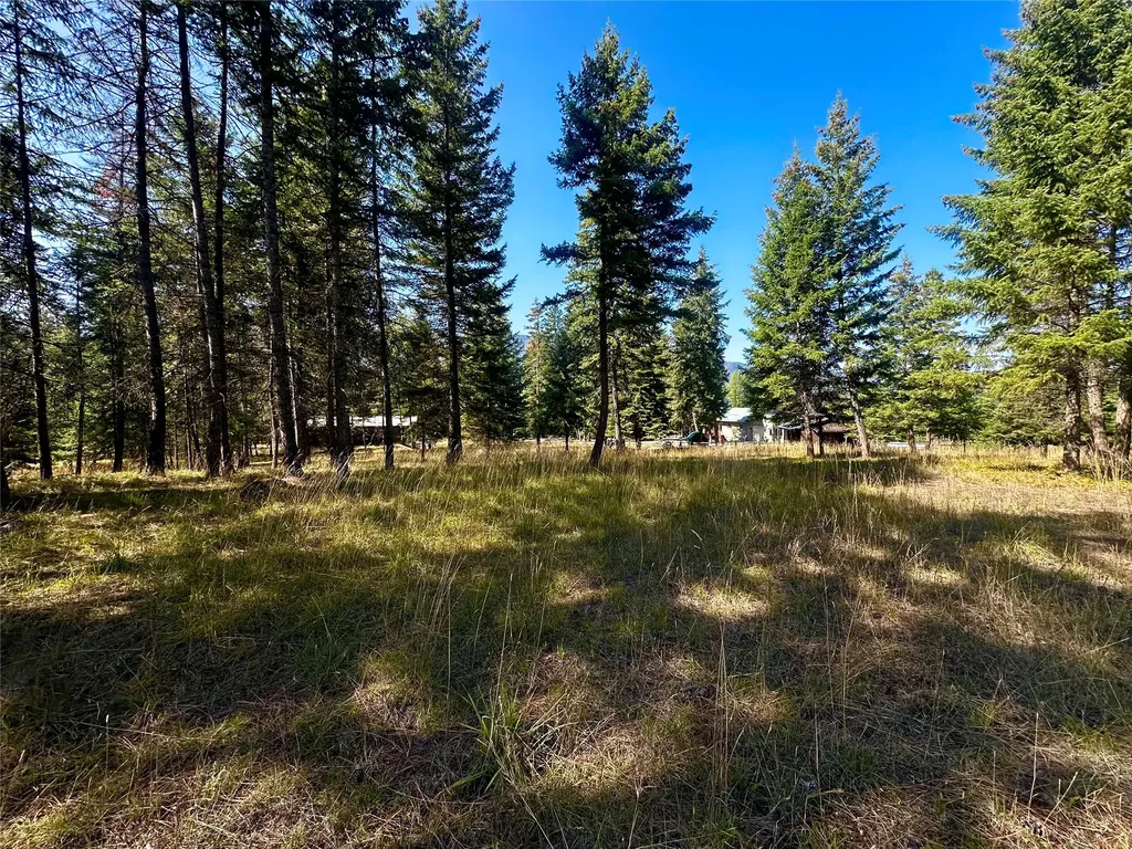36 Sanders Loop Road S Thompson Falls MT 59873