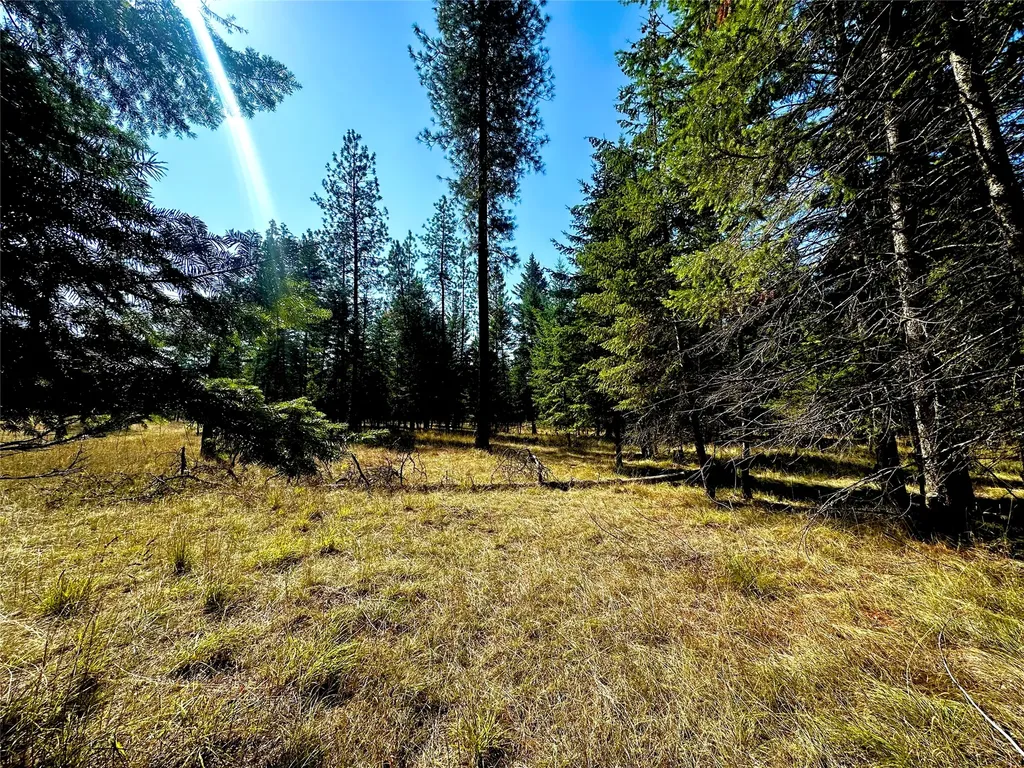 36 Sanders Loop Road S Thompson Falls MT 59873