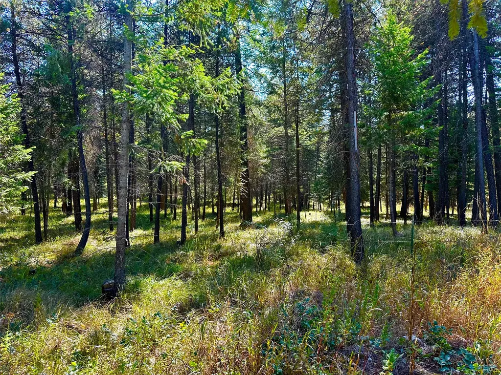 36 Sanders Loop Road S Thompson Falls MT 59873