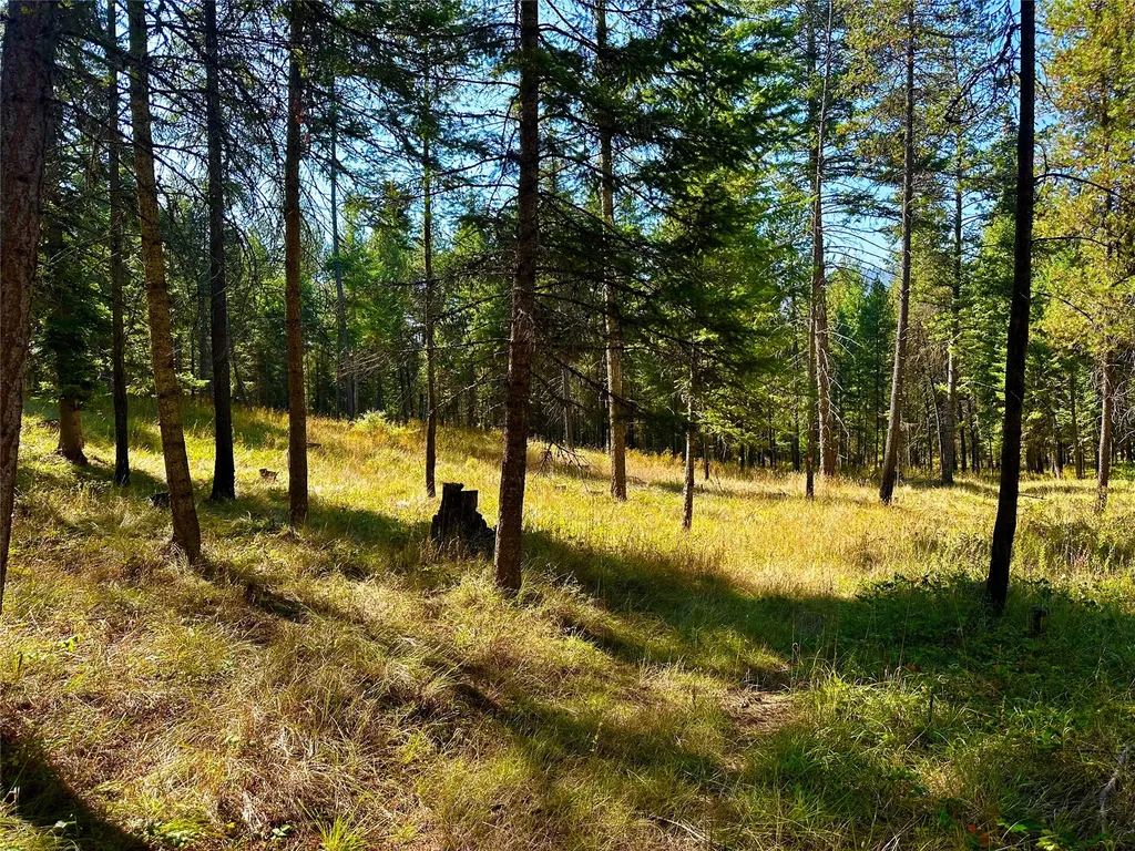36 Sanders Loop Road S Thompson Falls MT 59873