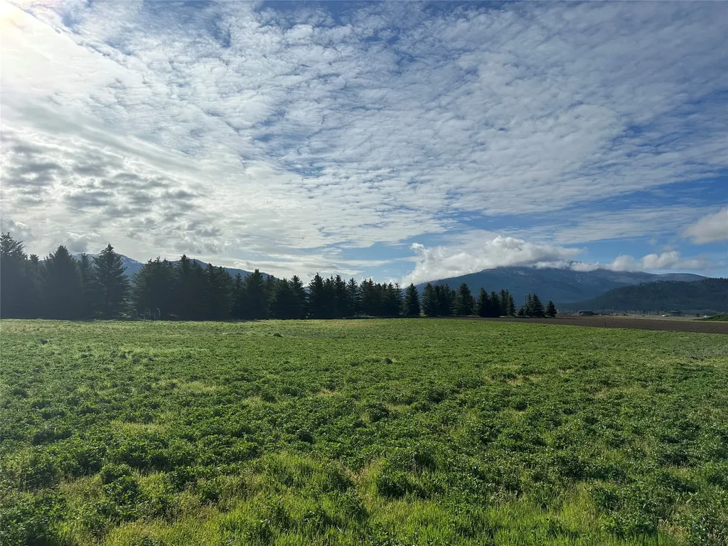 Nhn Picea Place Plains MT 59859