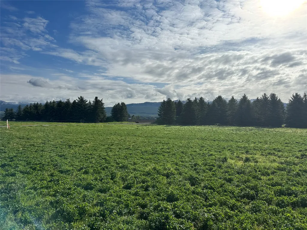 Nhn Picea Place Plains MT 59859
