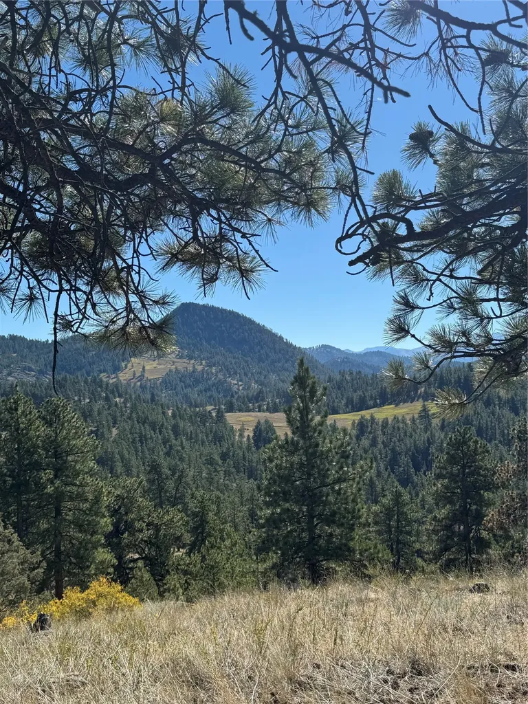Cascade MT 59421