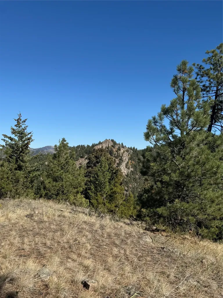 Cascade MT 59421