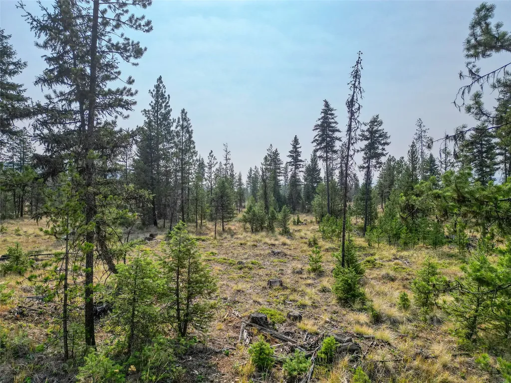 Lot 12 Klabo Drive Libby MT 59923