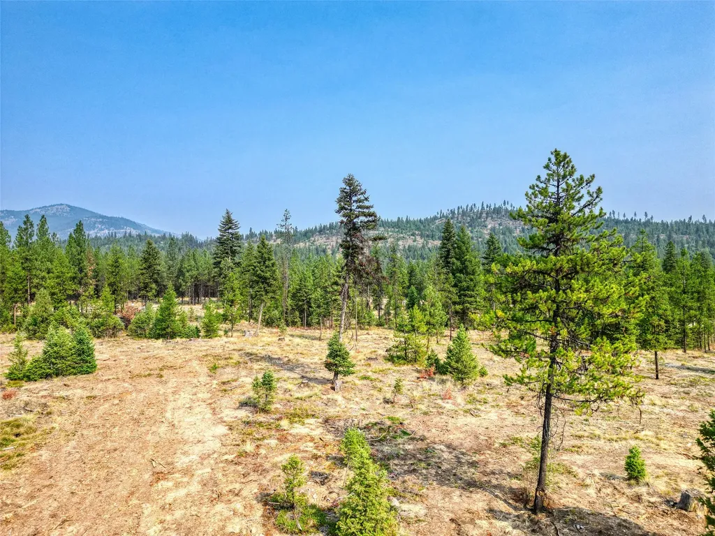 Lot 12 Klabo Drive Libby MT 59923