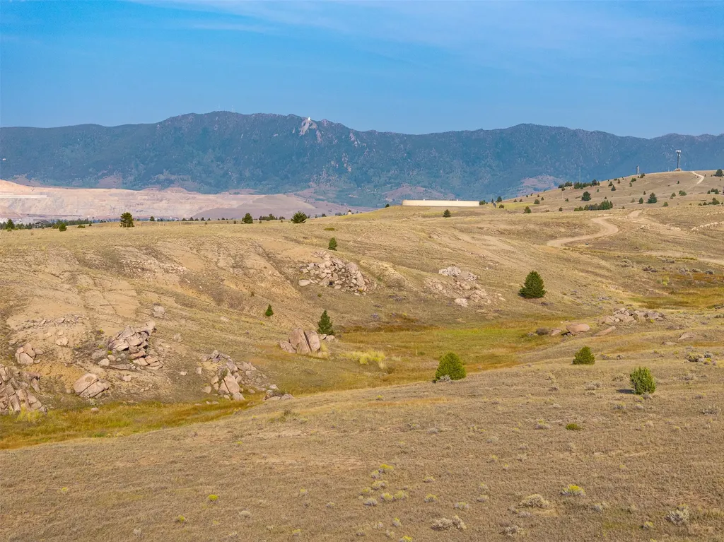 Tbd Buckhorn Lane Butte MT 59701
