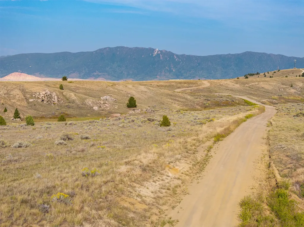 Tbd Buckhorn Lane Butte MT 59701