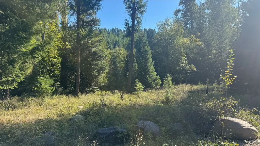 18731 Us Highway 2 Troy MT 59935