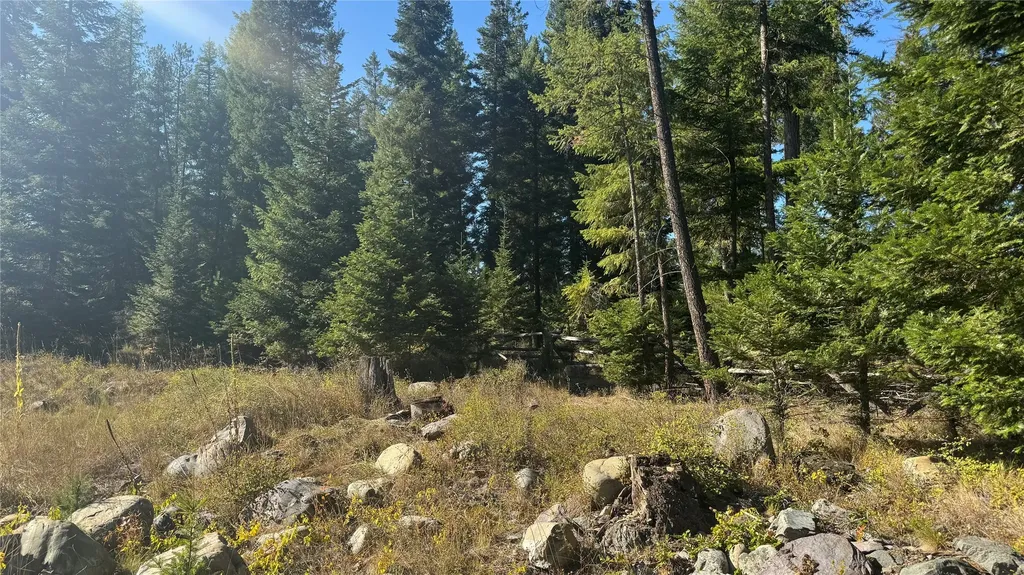 18731 Us Highway 2 Troy MT 59935