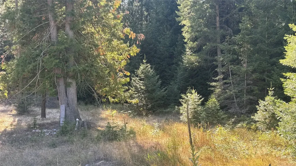 18731 Us Highway 2 Troy MT 59935
