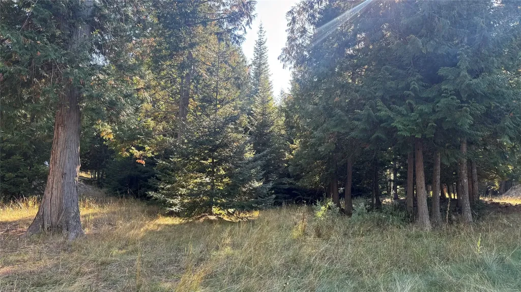 18731 Us Highway 2 Troy MT 59935