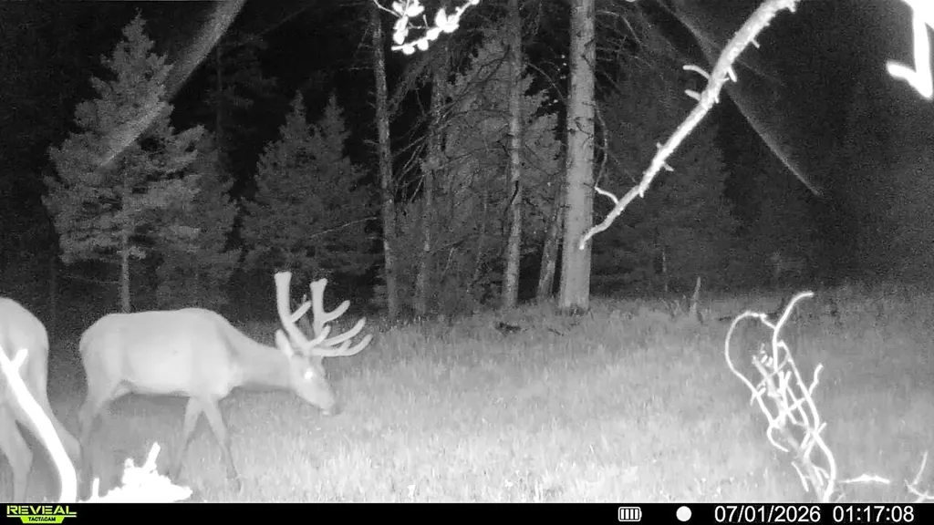 7379 Hahn Creek Road Elliston MT 59728