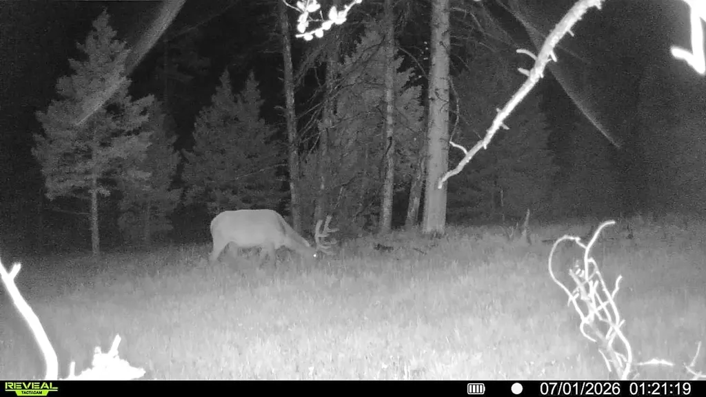 7379 Hahn Creek Road Elliston MT 59728