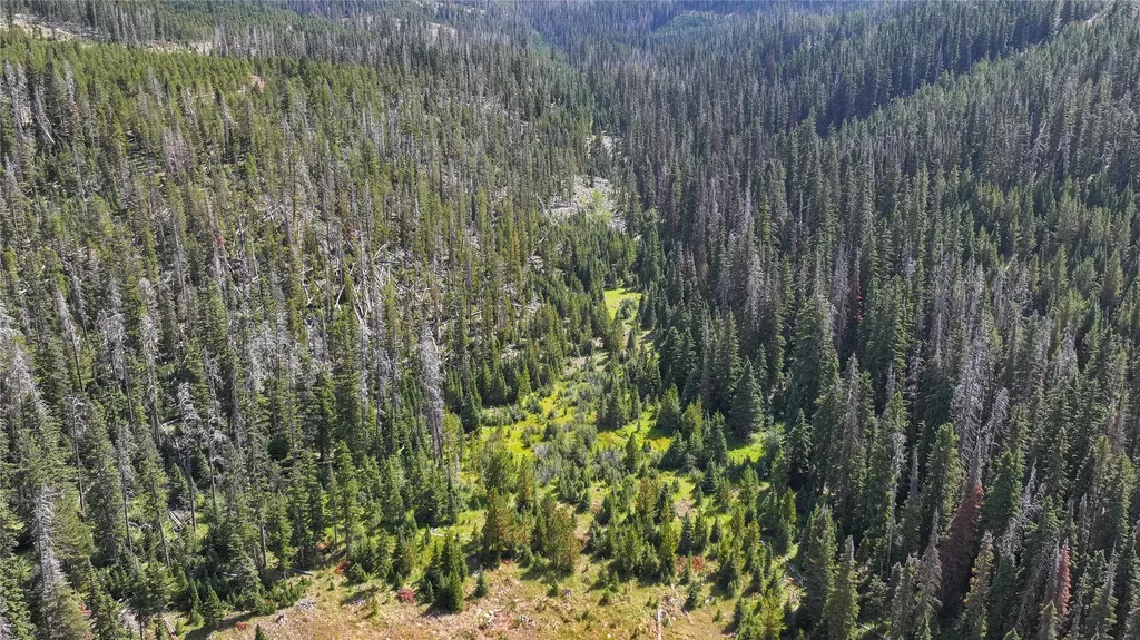 7379 Hahn Creek Road Elliston MT 59728