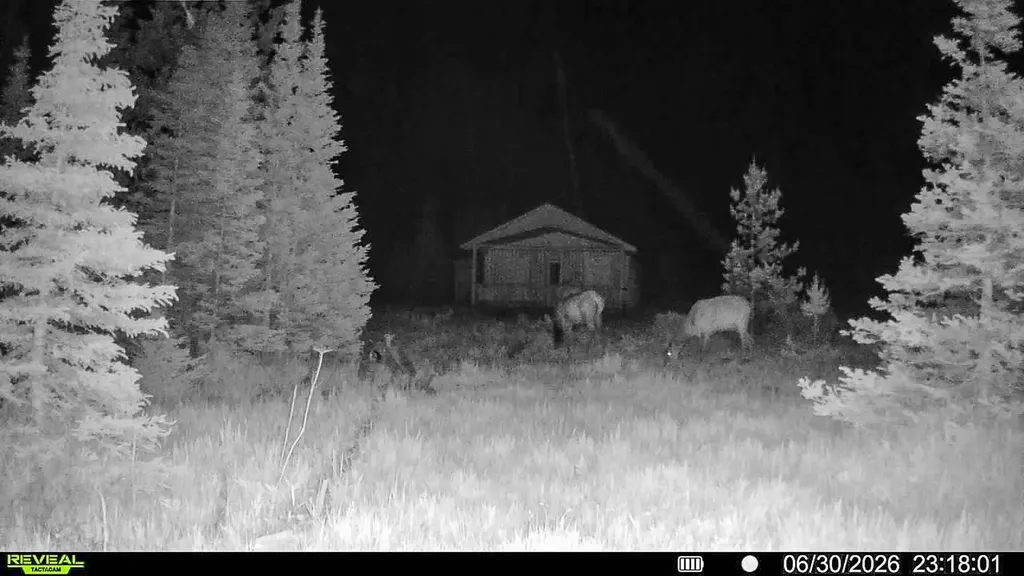 7379 Hahn Creek Road Elliston MT 59728