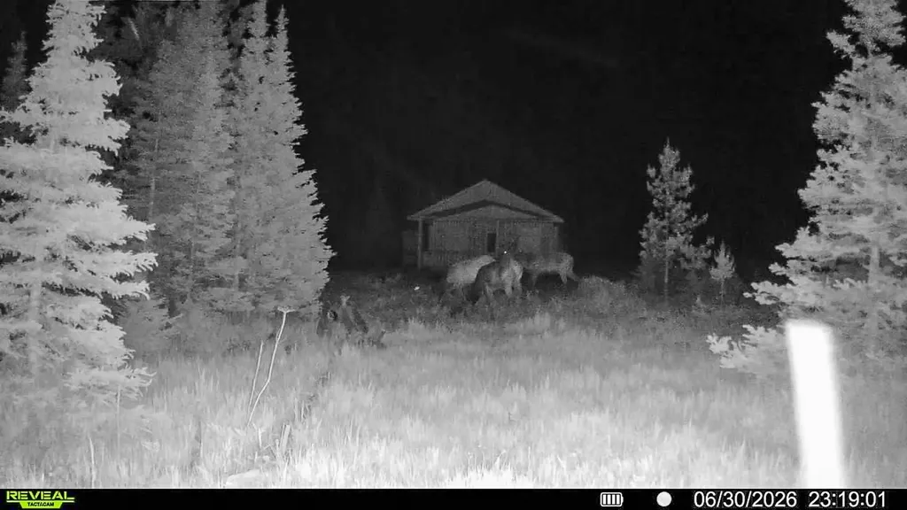 7379 Hahn Creek Road Elliston MT 59728
