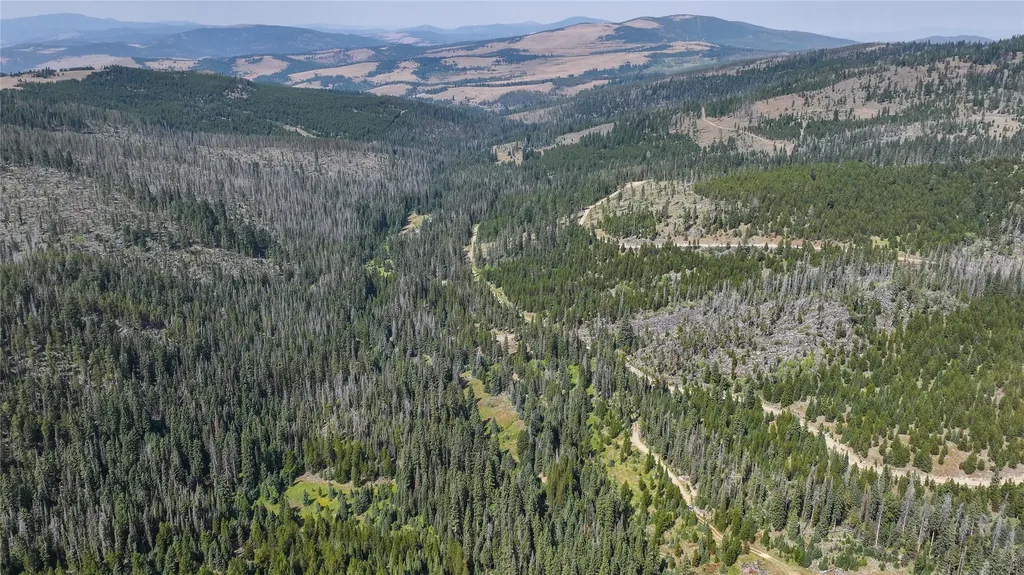 7379 Hahn Creek Road Elliston MT 59728