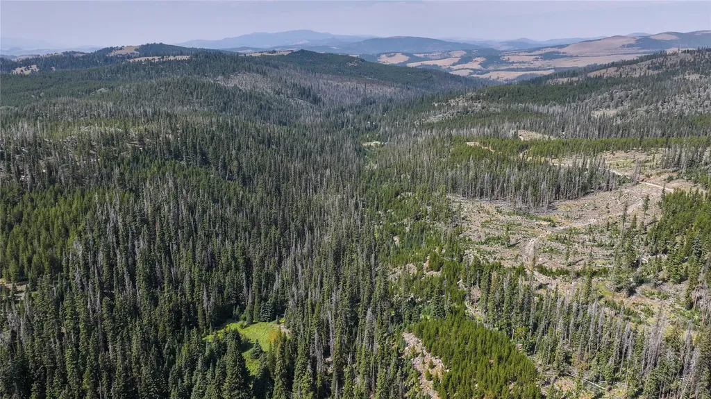 7379 Hahn Creek Road Elliston MT 59728