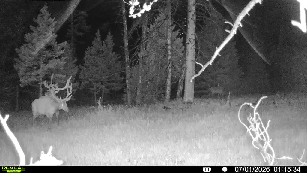 7379 Hahn Creek Road Elliston MT 59728