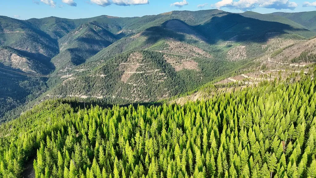 Nhn Johnson Creek Road Superior MT 59872