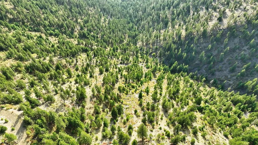 Nhn Johnson Creek Road Superior MT 59872
