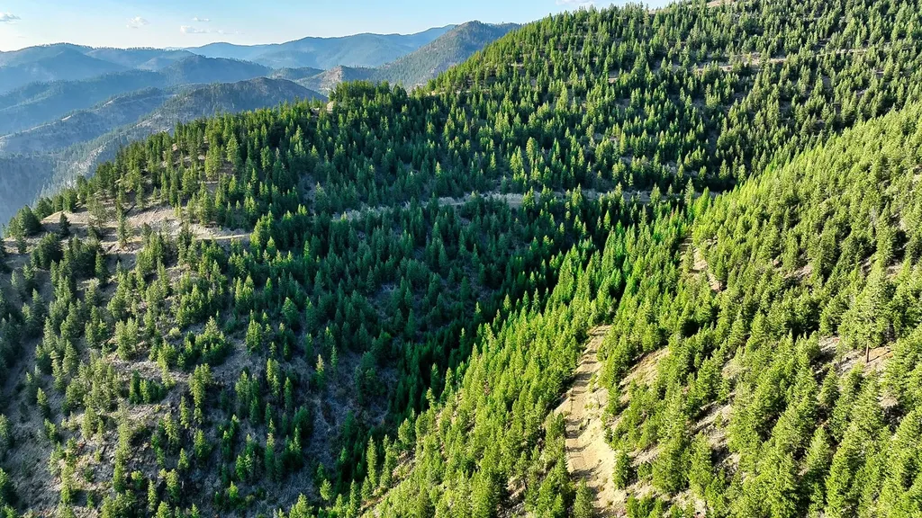 Nhn Johnson Creek Road Superior MT 59872