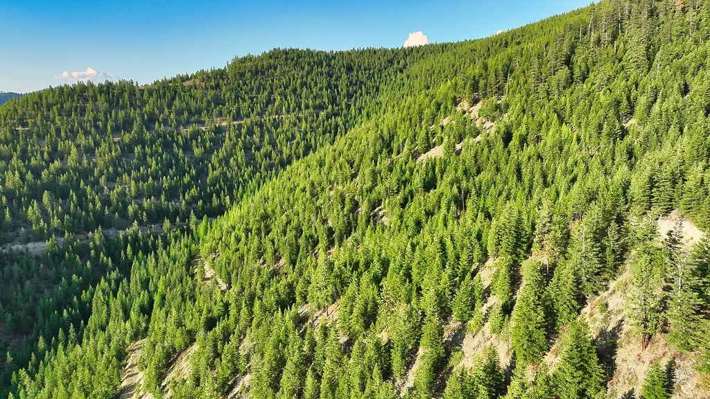 Nhn Johnson Creek Road Superior MT 59872