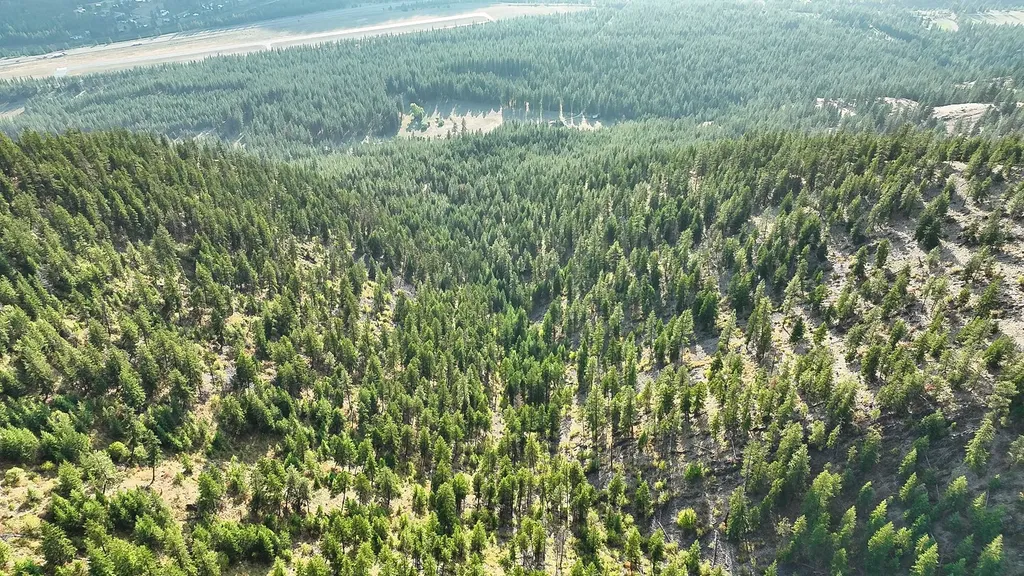 Nhn Johnson Creek Road Superior MT 59872