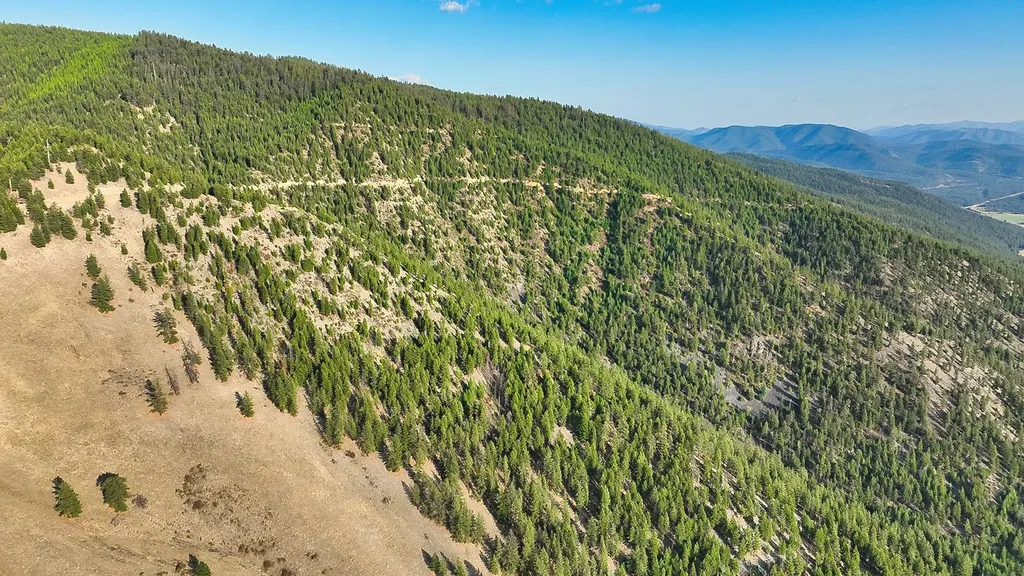 Nhn Johnson Creek Road Superior MT 59872