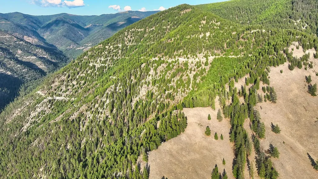 Nhn Johnson Creek Road Superior MT 59872