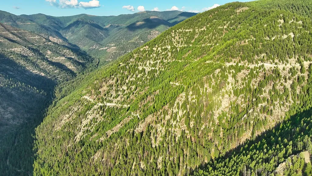 Nhn Johnson Creek Road Superior MT 59872