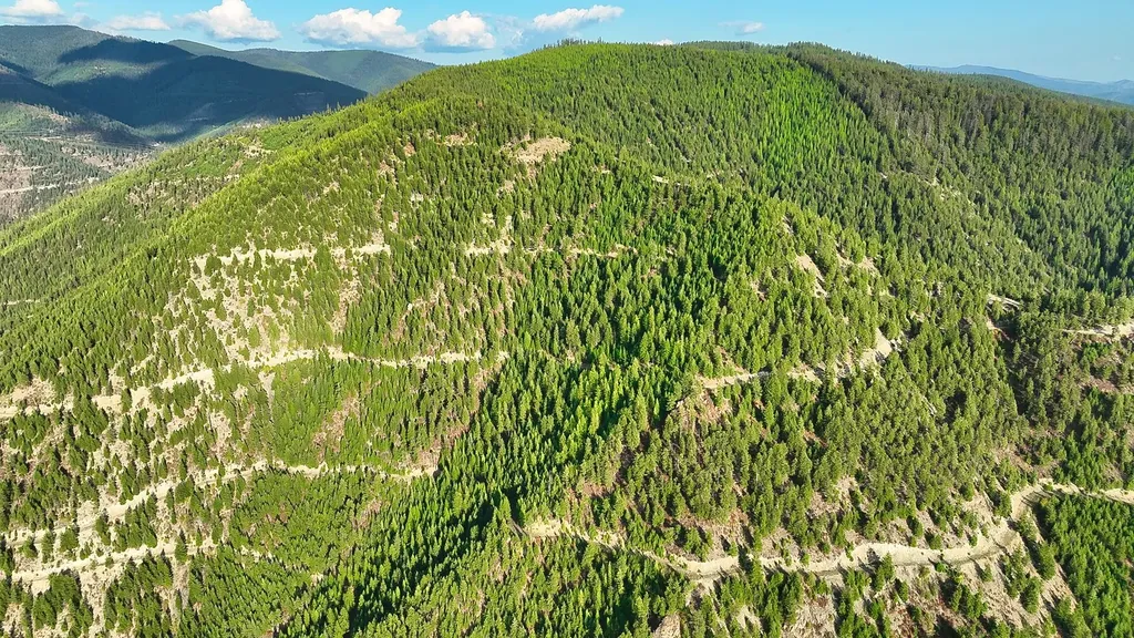 Nhn Johnson Creek Road Superior MT 59872