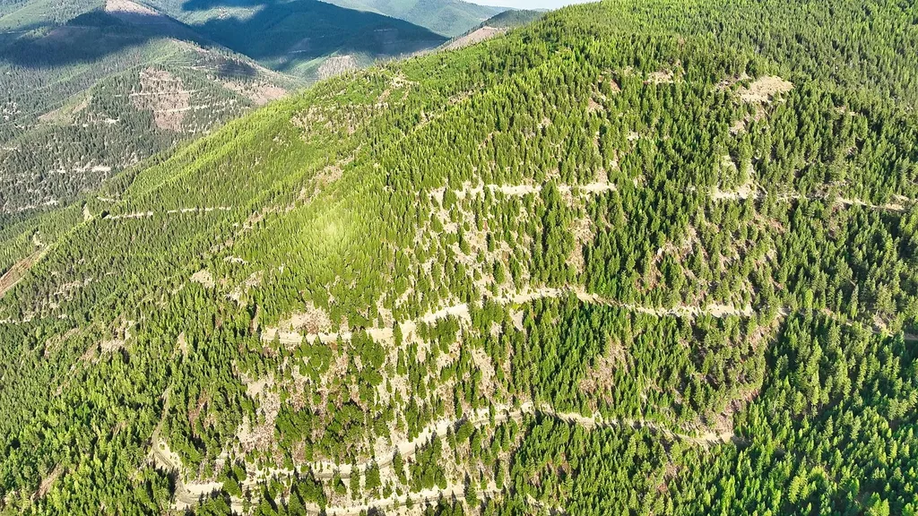 Nhn Johnson Creek Road Superior MT 59872