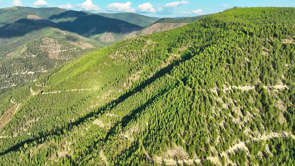 Nhn Johnson Creek Road Superior MT 59872