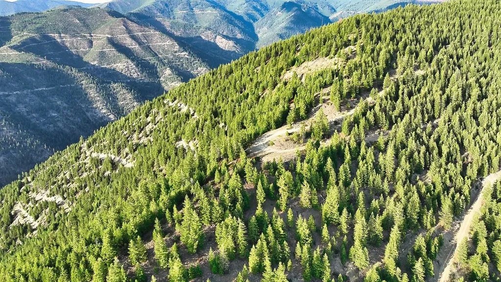 Nhn Johnson Creek Road Superior MT 59872