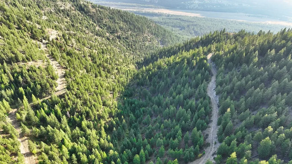 Nhn Johnson Creek Road Superior MT 59872