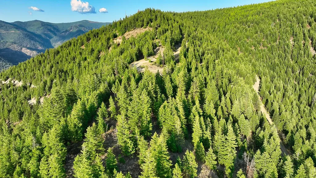 Nhn Johnson Creek Road Superior MT 59872