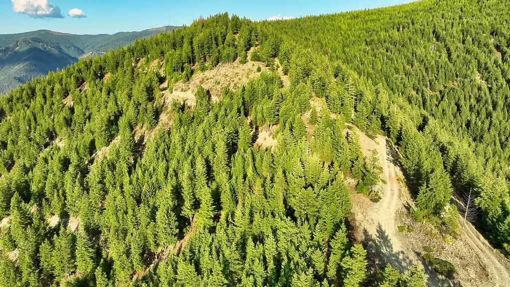 Nhn Johnson Creek Road Superior MT 59872