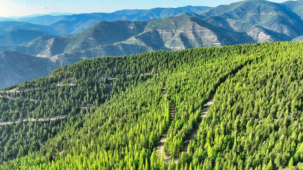 Nhn Johnson Creek Road Superior MT 59872